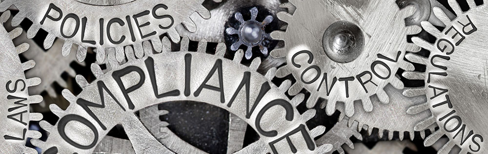 Licensed and Insured